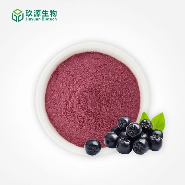 Black Chokeberry Juice Powder manufacturers
