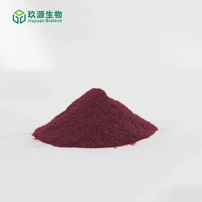 Freeze-dried blackberry powder 1